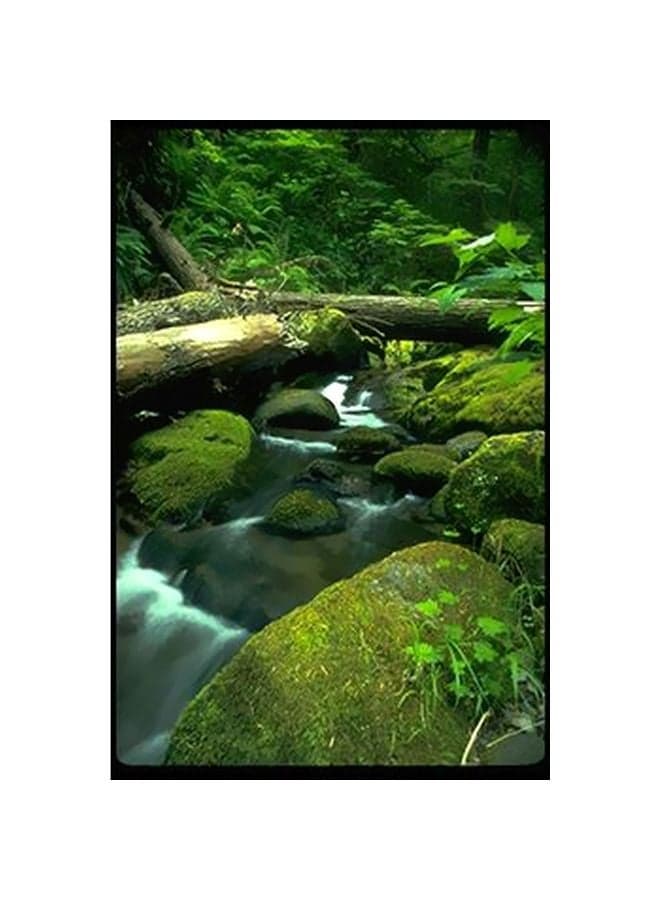 Decorative Wall Poster Green/White 15x20cm Posters & Prints