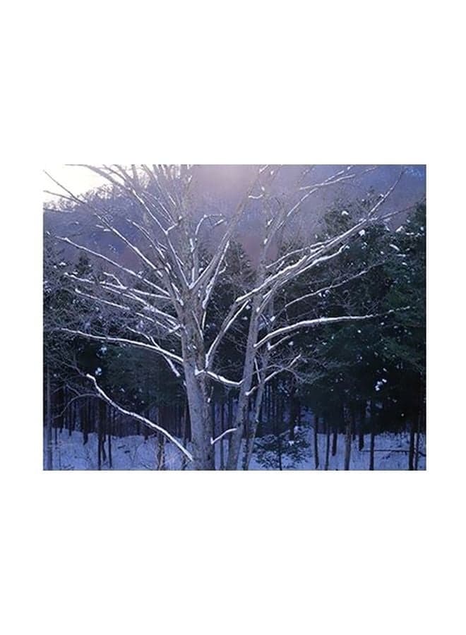 Decorative Wall Poster White/Green 15x20cm Posters & Prints
