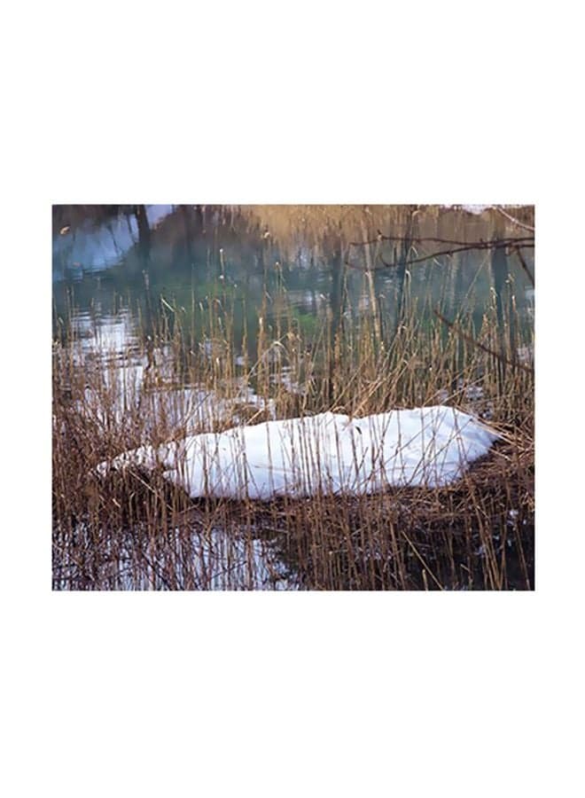 Decorative Wall Poster White/Brown/Green 15x20cm Posters & Prints