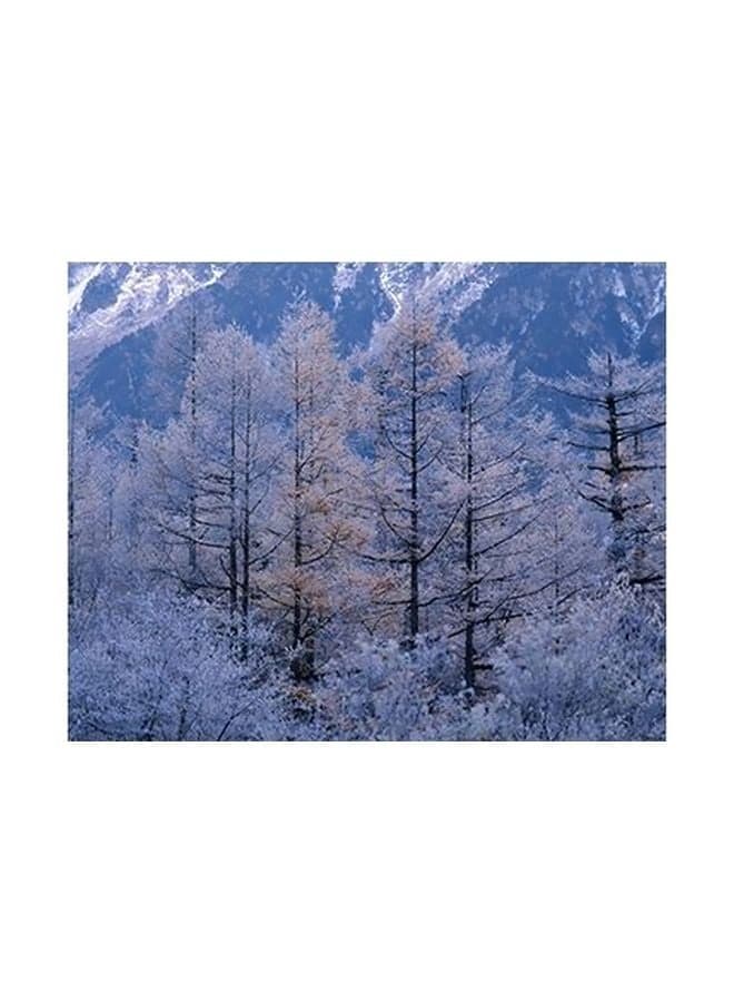 Decorative Wall Poster Grey/Black 15x20cm Posters & Prints