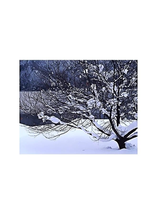 Decorative Wall Painting White/Grey 15x20cm