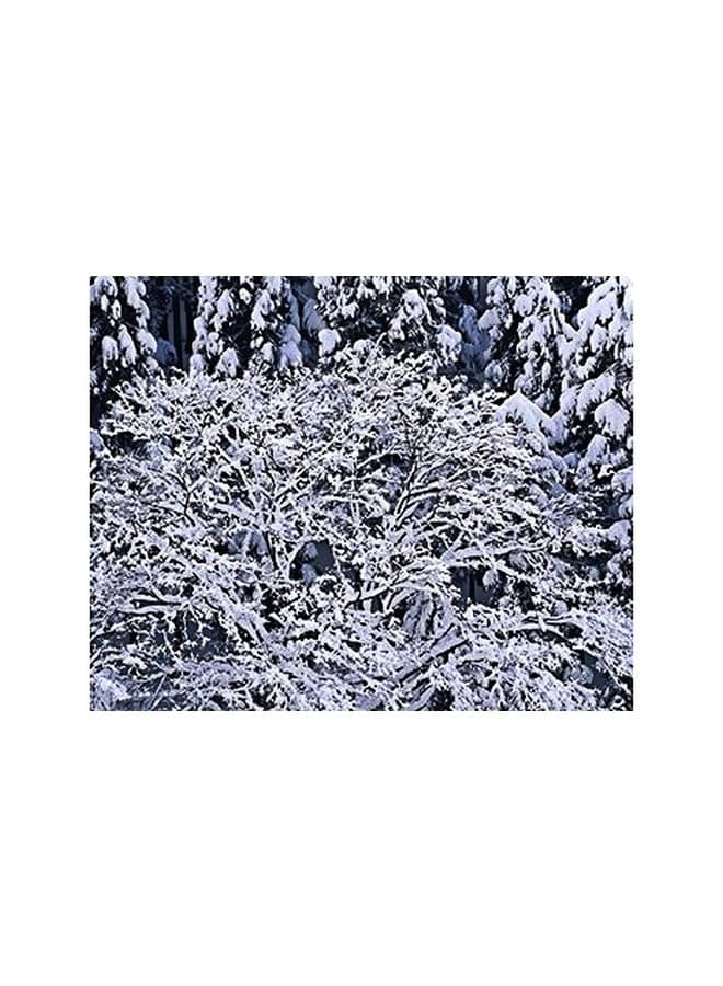 Decorative Wall Painting White/Blue 15x20cm