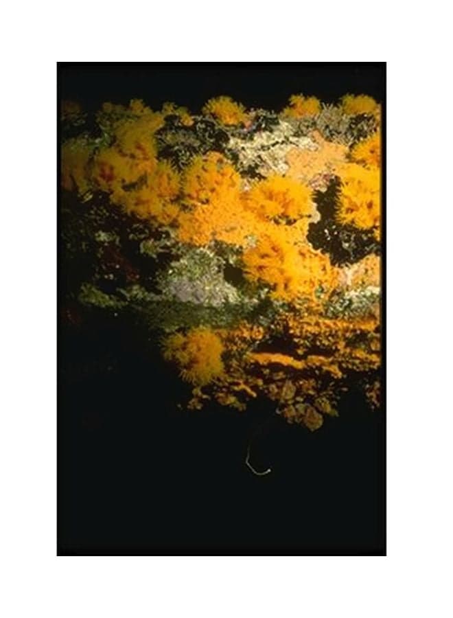 Decorative Wall Poster Black/Yellow/Green 15x20cm Posters & Prints