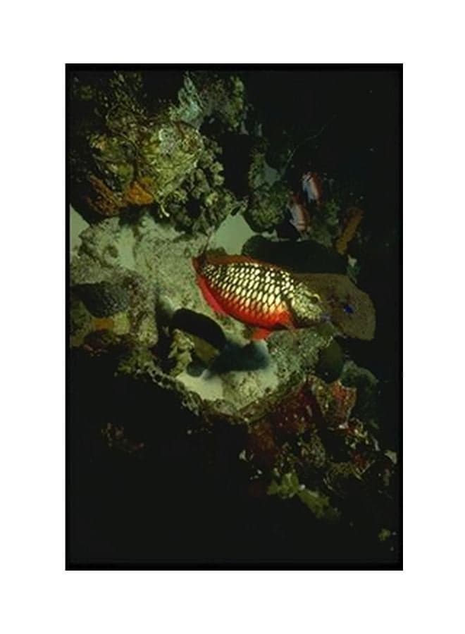Decorative Wall Poster Black/Green/Orange 15x20cm Posters & Prints