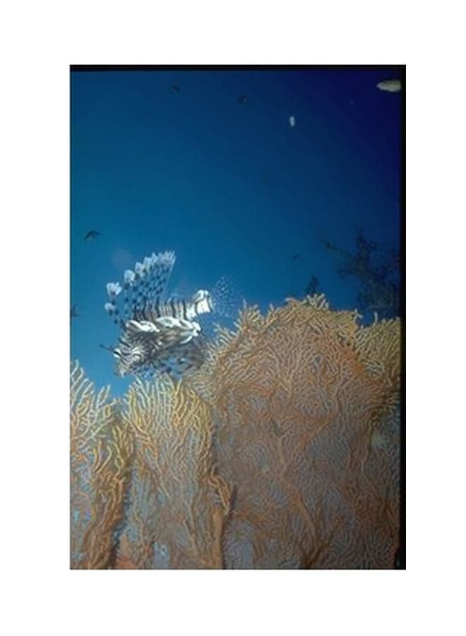 Decorative Wall Poster Blue/Brown/White 15x20cm Posters & Prints