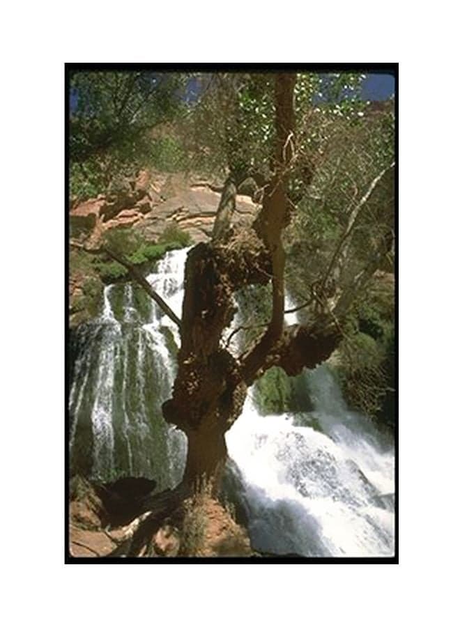 Decorative Wall Poster White/Green/Brown 15x20cm Posters & Prints