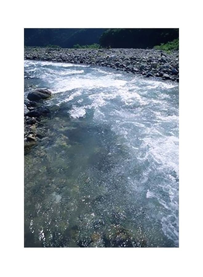 Decorative Wall Poster Grey/White/Green 15x20cm Posters & Prints