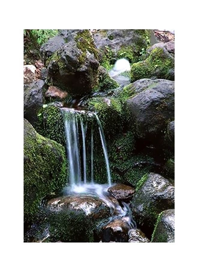 Decorative Wall Poster Green/White/Brown 15x20cm Posters & Prints