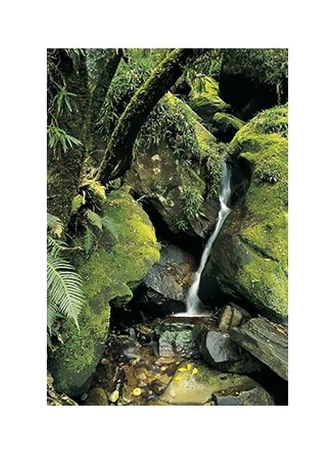 Decorative Wall Poster Green/White/Grey 15x20cm Posters & Prints