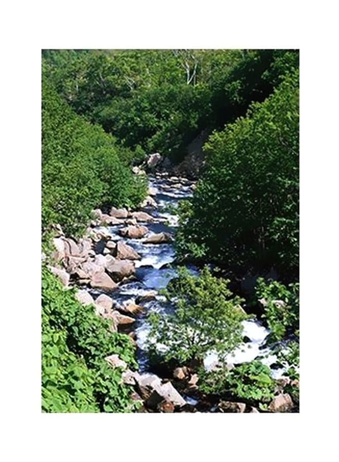 Decorative Wall Poster Green/White/Blue 15x20cm Posters & Prints