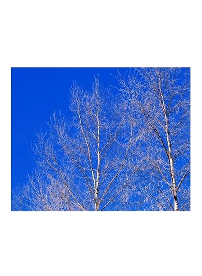 Decorative Wall Poster Blue/White 15x20cm Posters & Prints