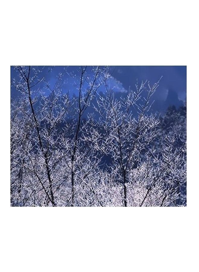 Decorative Wall Poster Blue/White 15x20cm Posters & Prints