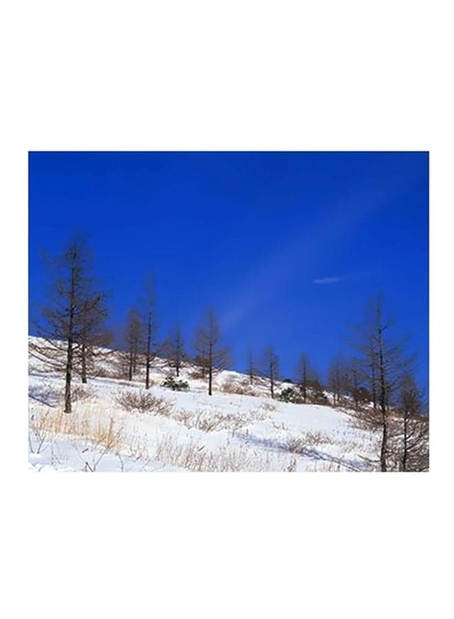 Decorative Wall Poster Blue/White/Green 15x20cm Posters & Prints