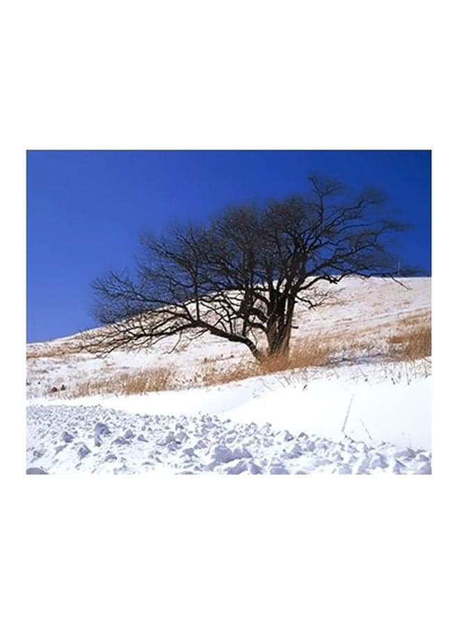 Decorative Wall Poster Blue/White/Green 15x20cm Posters & Prints