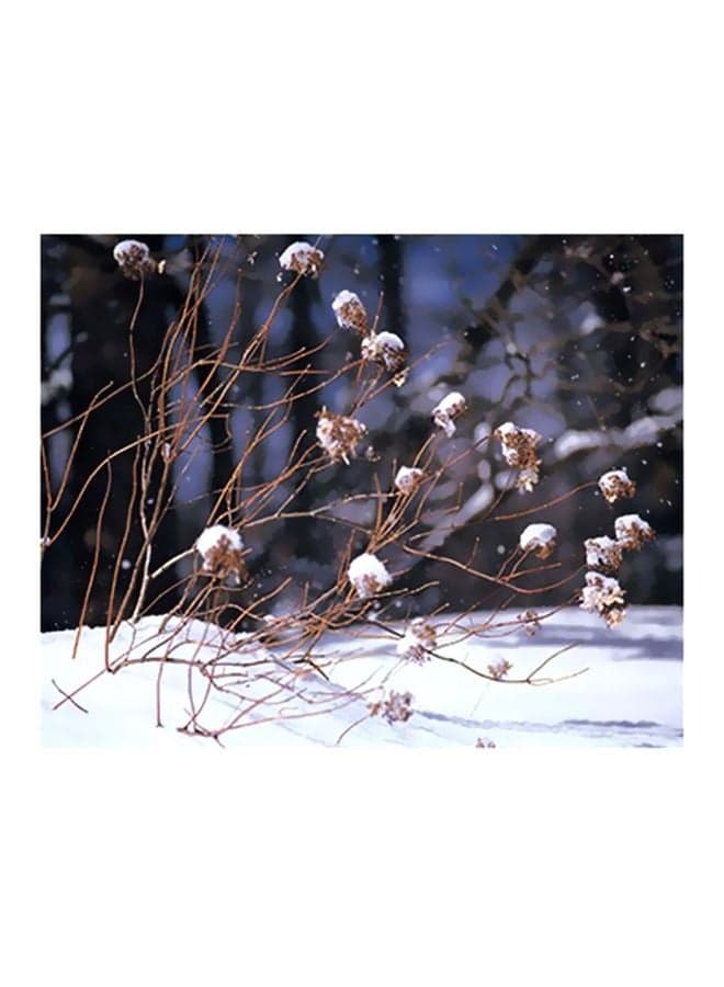 Decorative Wall Poster White/Grey 15x20cm Posters & Prints