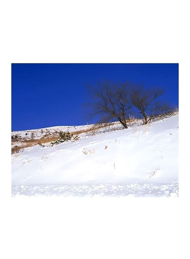 Decorative Wall Poster Blue/White/Brown 15x20cm Posters & Prints