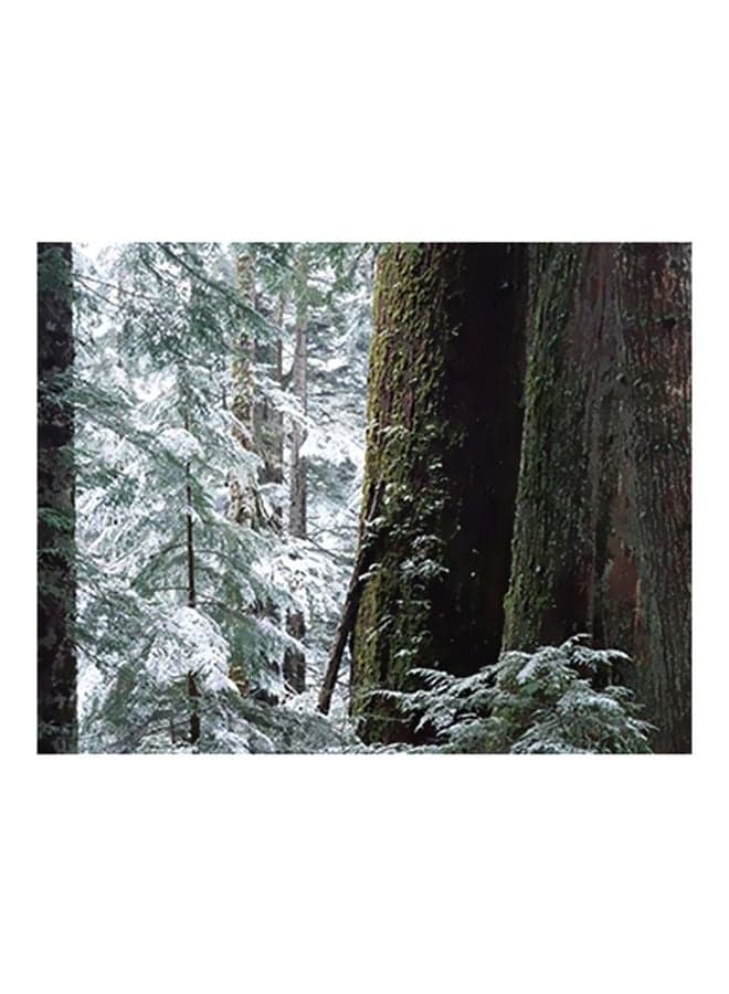 Decorative Wall Poster White/Green/Brown 15x20cm Posters & Prints