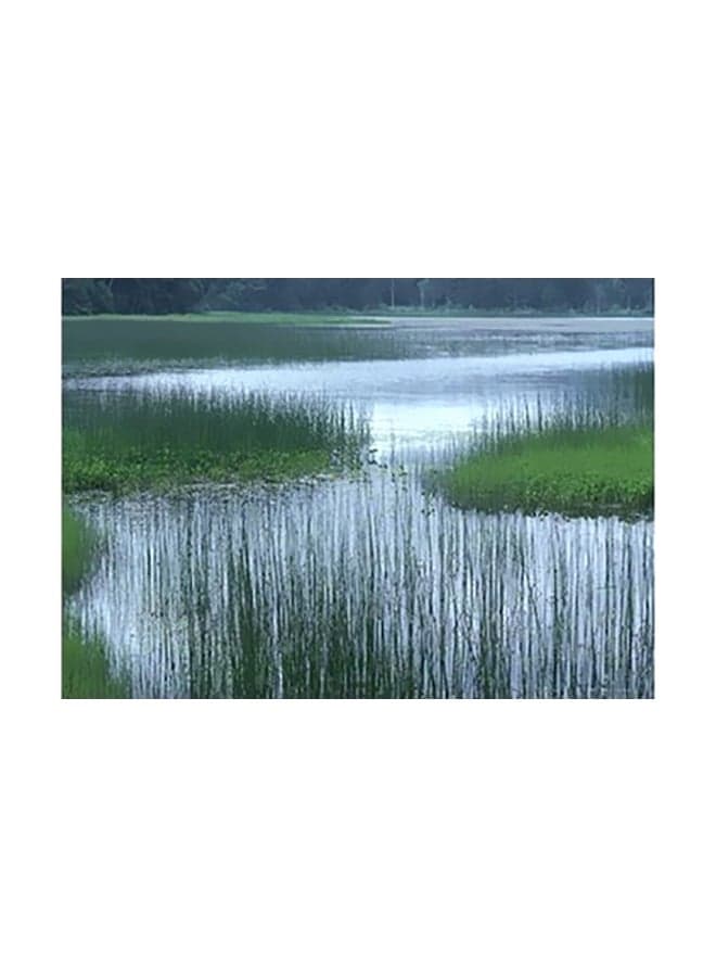 Decorative Wall Poster Green/White/Black 15x20cm Posters & Prints