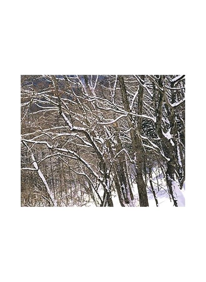 Decorative Wall Poster Brown/White 15x20cm Posters & Prints