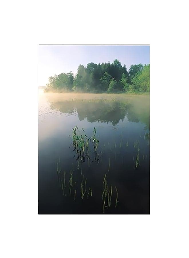 Decorative Wall Posters Green/Black/Blue 15x20cm Posters & Prints