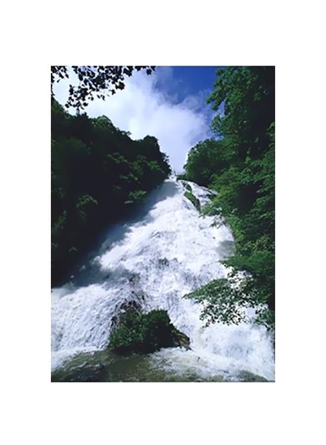Decorative Wall Poster Multicolour 15x20cm Posters & Prints