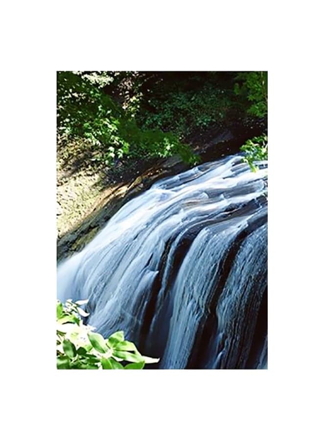 Decorative Wall Poster Multicolour 15x20cm Posters & Prints