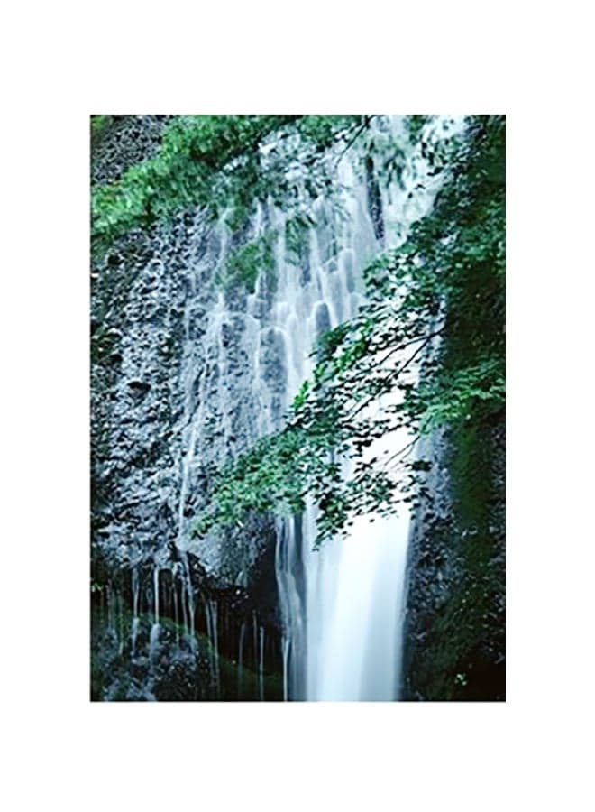 Decorative Wall Poster White/Green/Black 15x20cm Posters & Prints