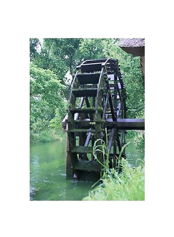 Decorative Wall Poster Green/Black 15x20cm Posters & Prints