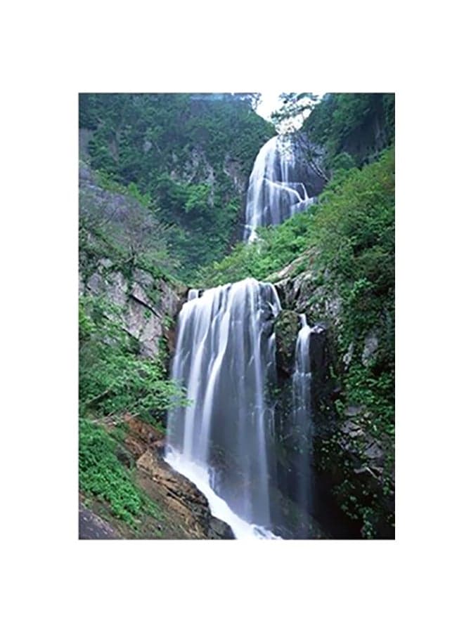 Decorative Wall Poster Green/White/Black 15x20cm Posters & Prints