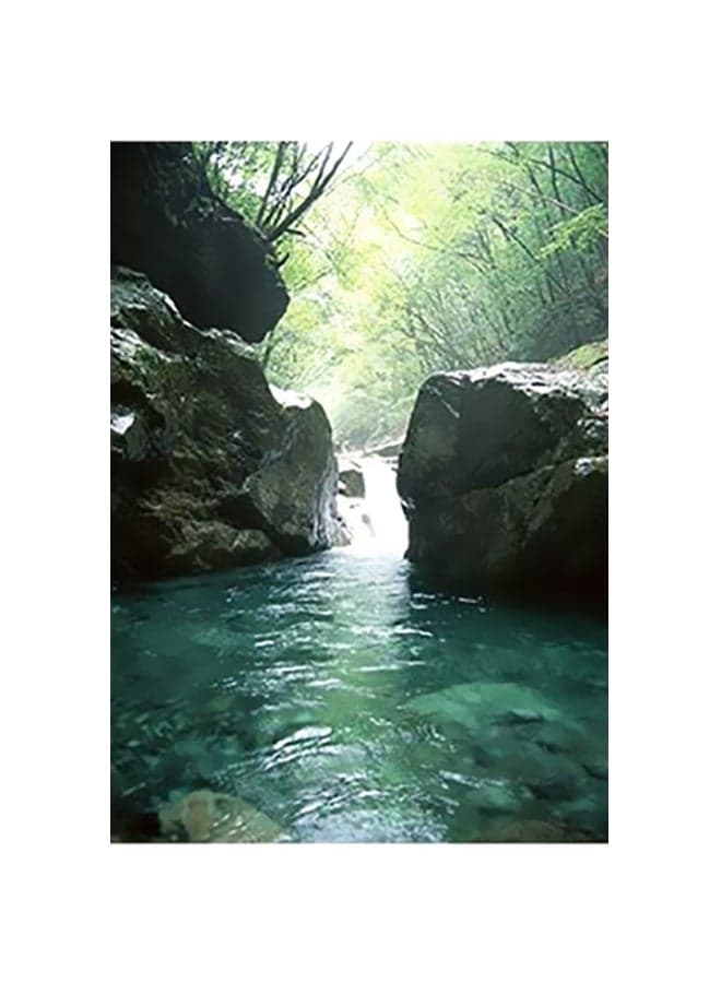 Decorative Wall Poster Green/Yellow 15x20cm Posters & Prints