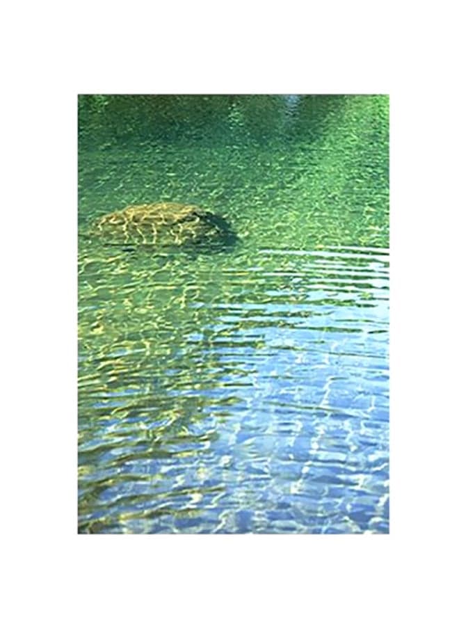 Decorative Wall Poster Green 15x20cm Posters & Prints