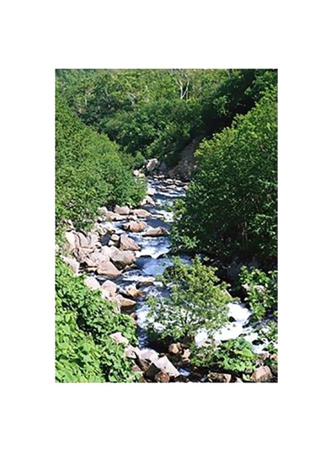 Decorative Wall Poster Multicolour 15x20cm Posters & Prints