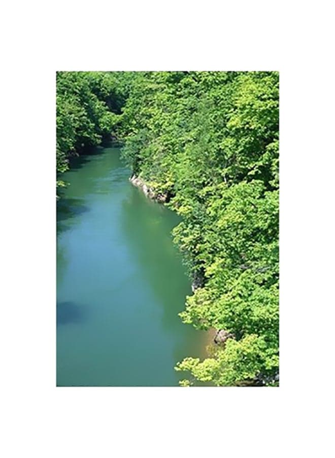 Decorative Wall Poster Green/Yellow 15x20cm Posters & Prints