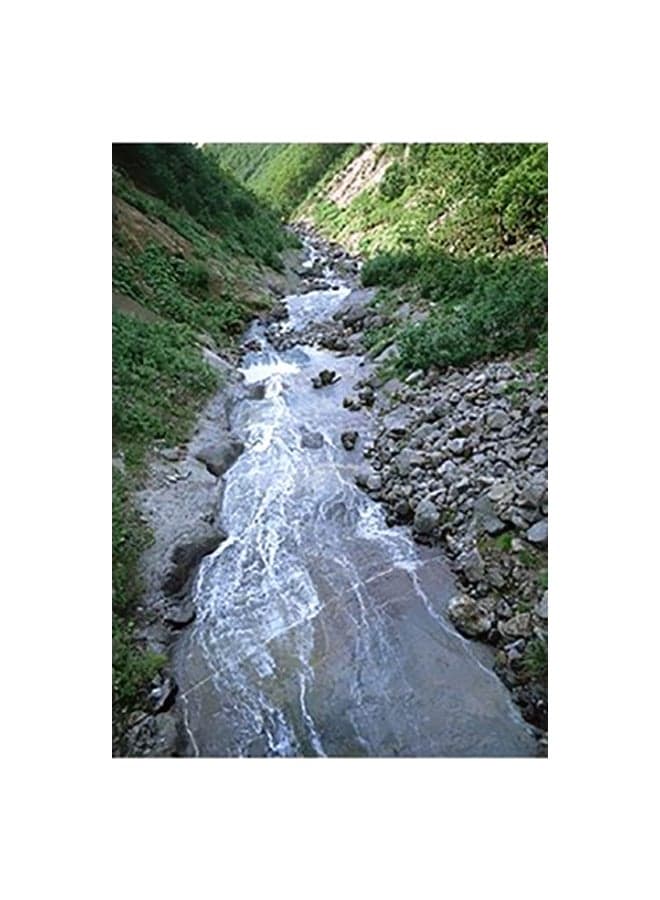 Decorative Wall Poster Green/Grey/White 15x20cm Posters & Prints