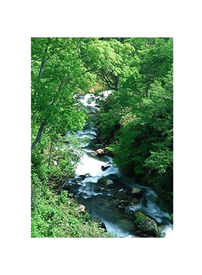 Decorative Wall Poster Green/White 15x20cm Posters & Prints