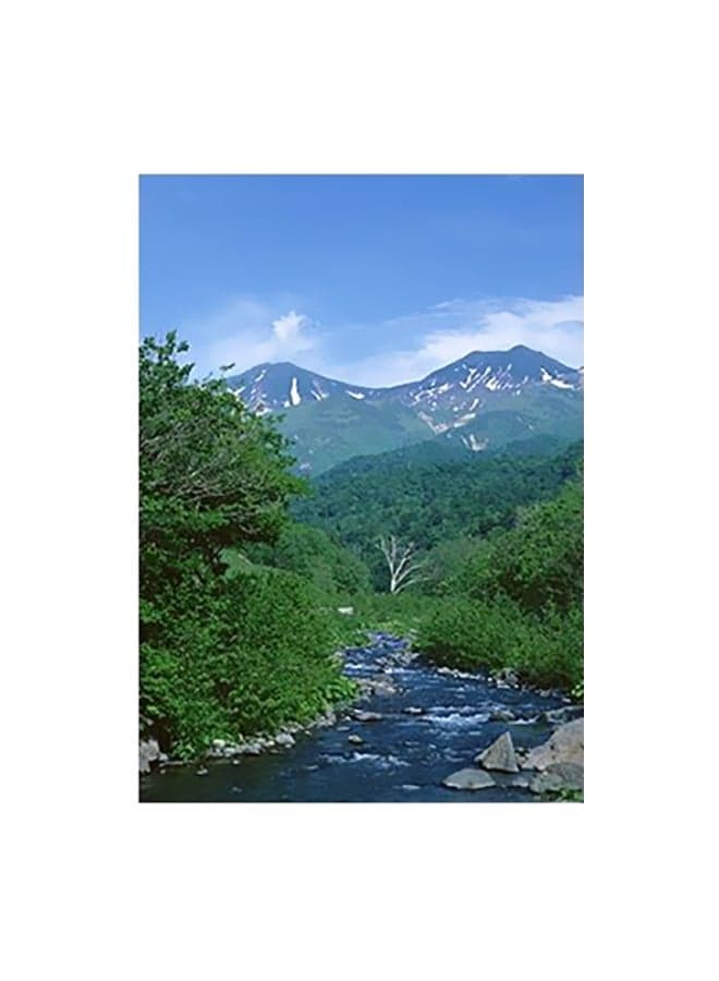 Decorative Wall Poster Blue/White/Green 15x20cm Posters & Prints
