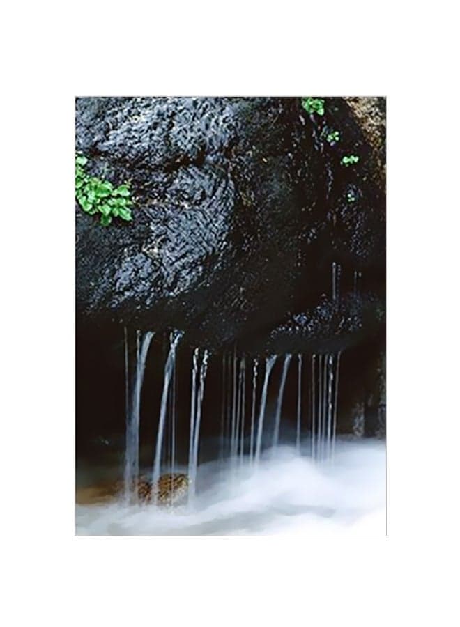 Decorative Wall Poster Black/White/Green 15x20cm Posters & Prints