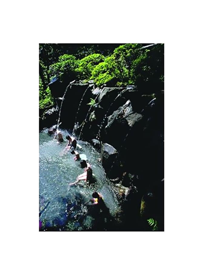 Decorative Wall Poster Green/Black 15x20cm Posters & Prints