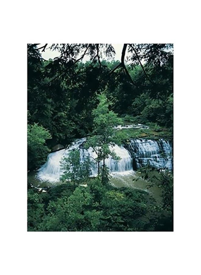 Decorative Wall Poster Green/White 15x20cm Posters & Prints