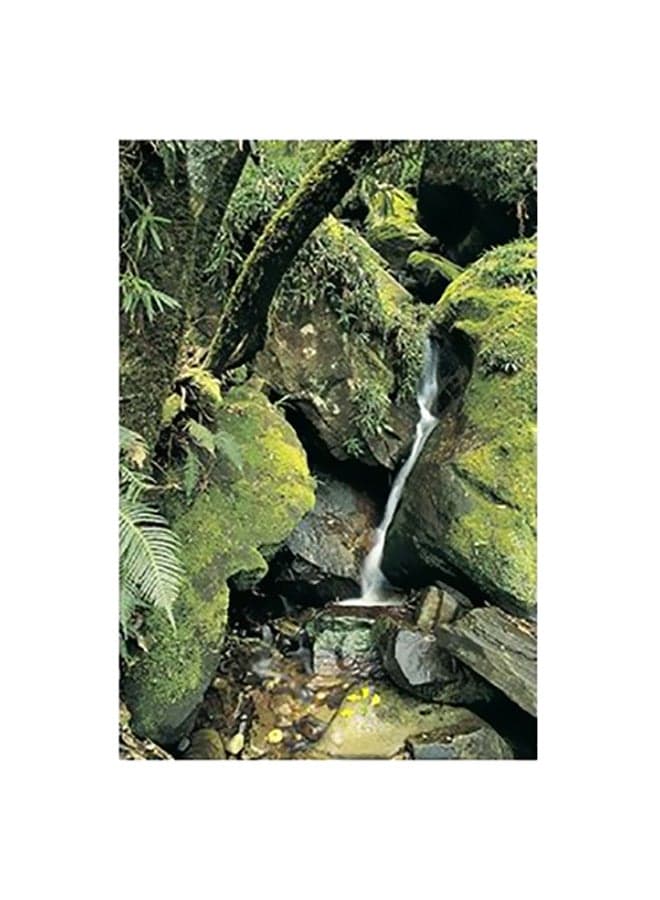 Decorative Wall Poster Green/Yellow 15x20cm Posters & Prints