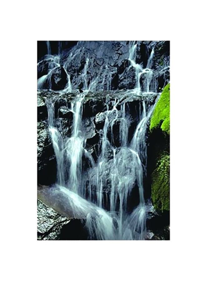Decorative Wall Poster Black/White 15x20cm Posters & Prints