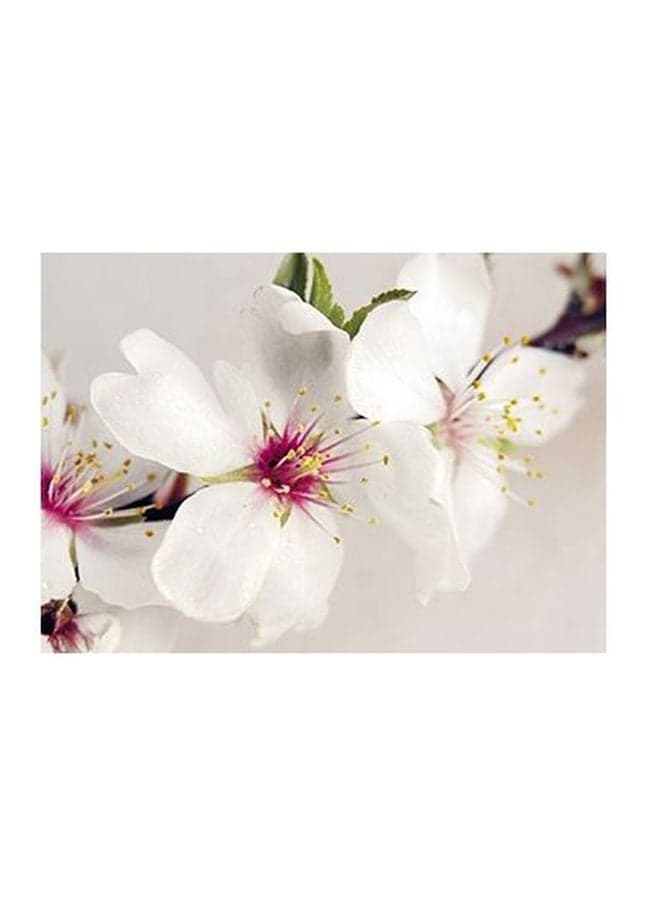 Decorative Wall Poster Multicolour 15x20cm Posters & Prints
