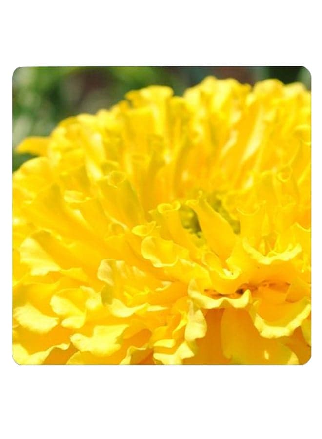 Printed Wooden Coaster Yellow 9x9cm
