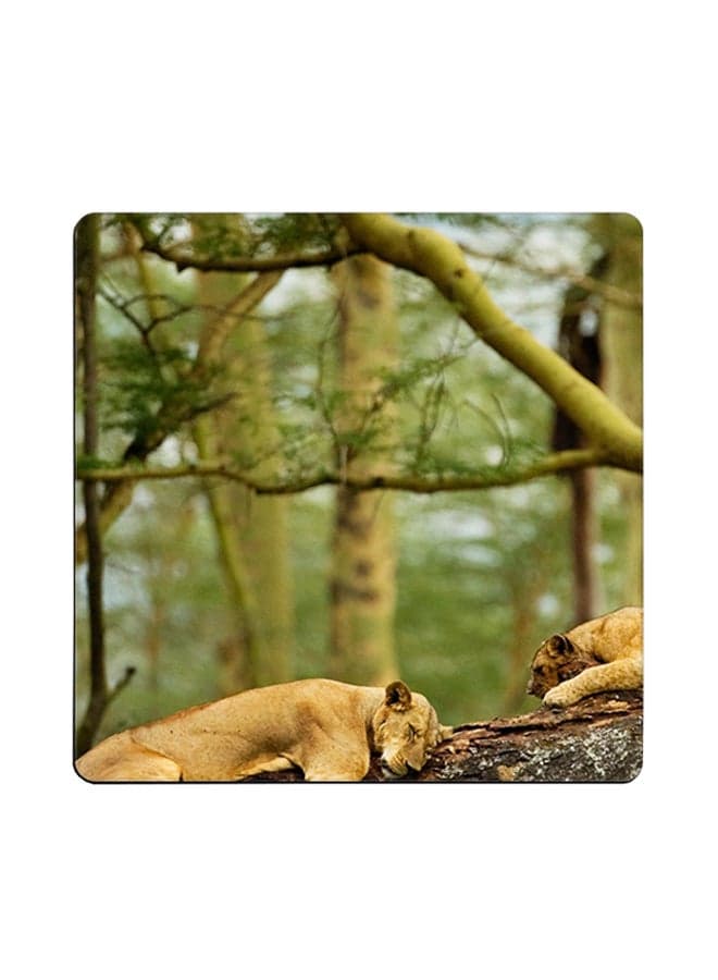Sleeping Lions Printed Coaster Multicolour 9x9cm