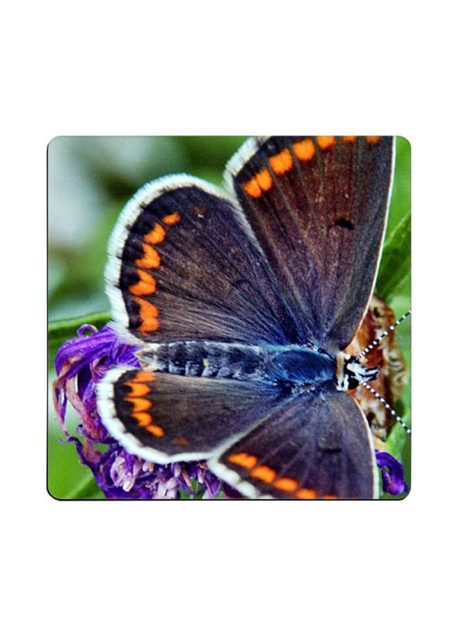 Butterfly Printed Coaster Multicolour 9x9cm