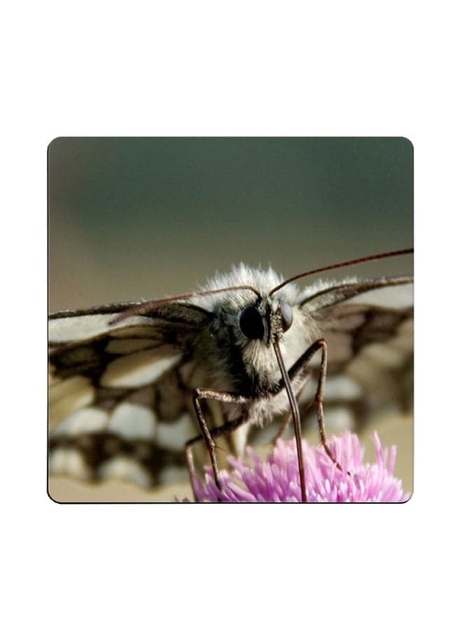 Butterfly Printed Coaster Multicolour 9x9cm