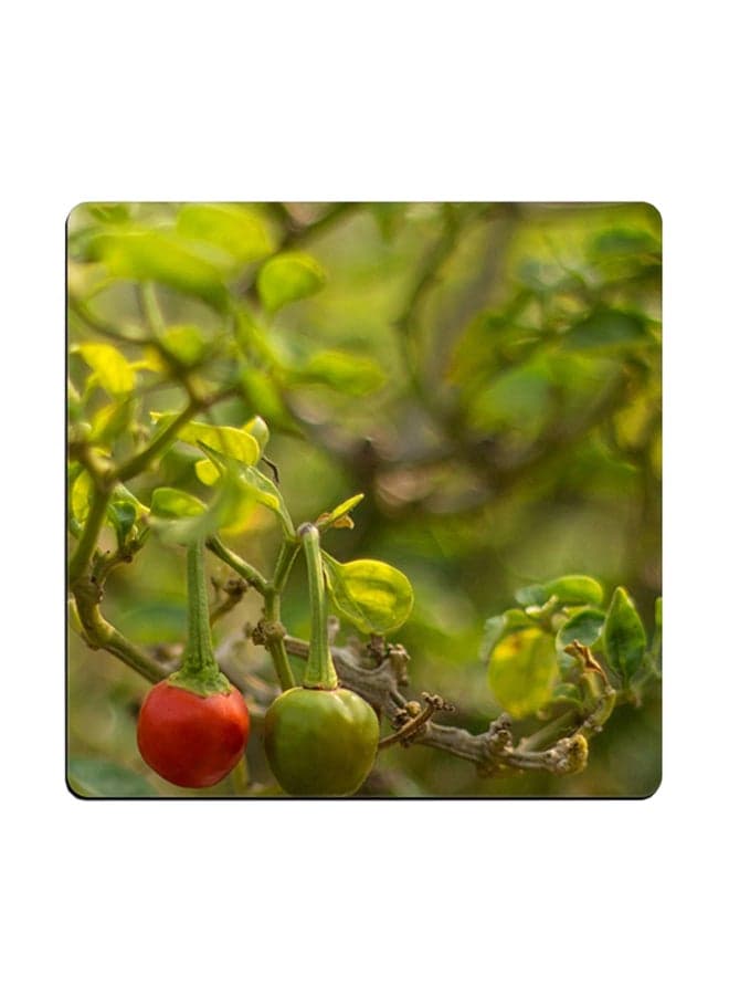 Chili Pepper Printed Coaster Multicolour 9x9cm