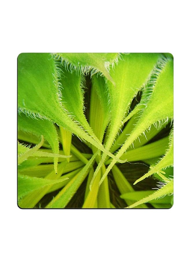 Budding Printed Coaster Multicolour 9x9cm