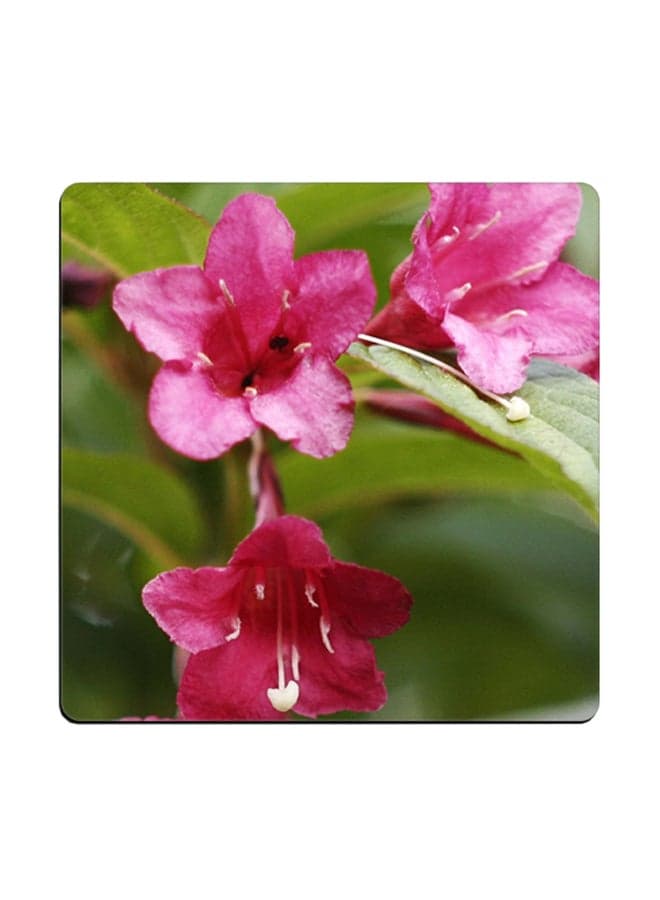 Flower Printed Coaster Multicolour 9x9cm