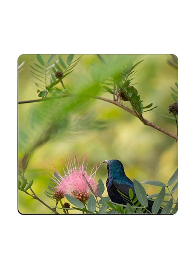 Nature Printed Coaster Multicolour